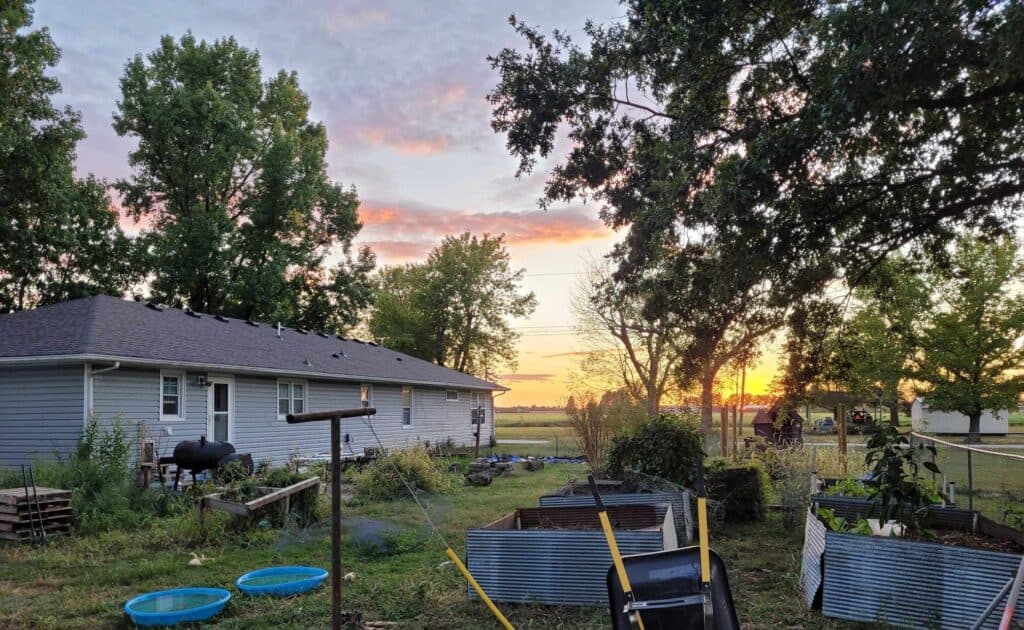 view of the backyard with newly built raise beds out of metal barn siding with a sunset behind it all