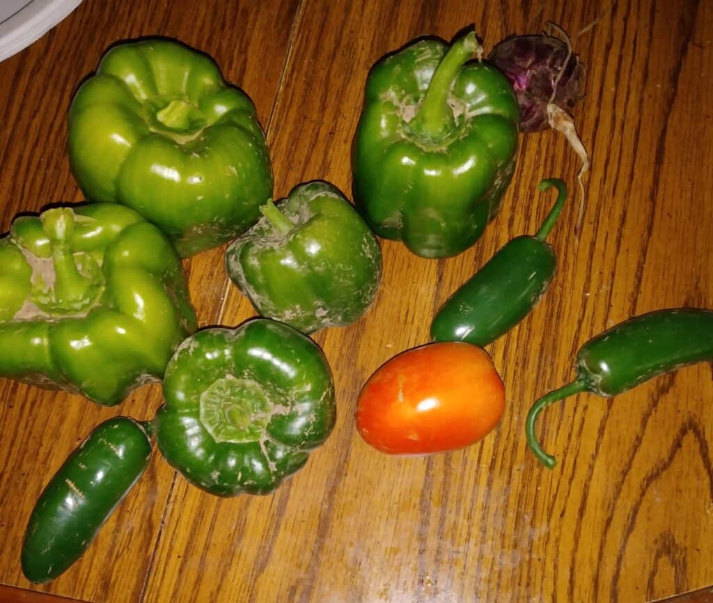 several green bell peppers, one small roma tomato and several jalapenos on a table