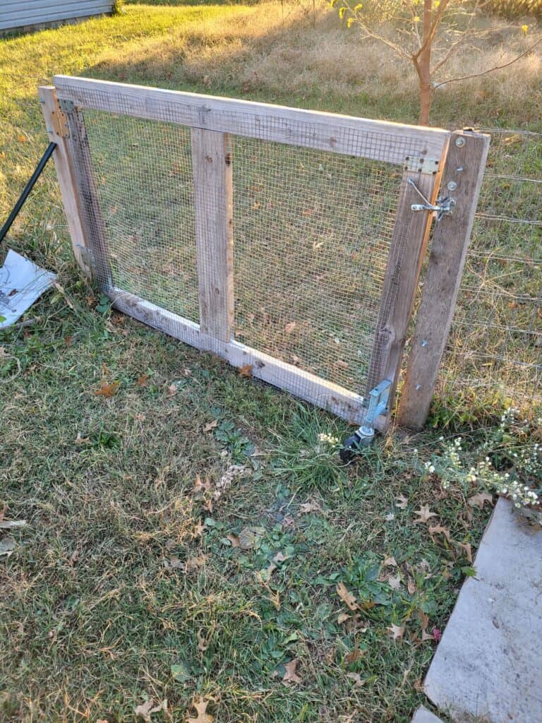 gate for the backyard, it is much smaller than the front gate but is made of 2x4s and hardware cloth