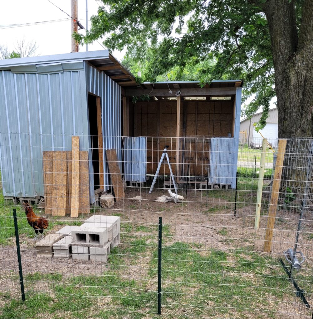 metal and wood "L" shaped goat barn behind a fence, can see two stalls on the right and two doorways on the left