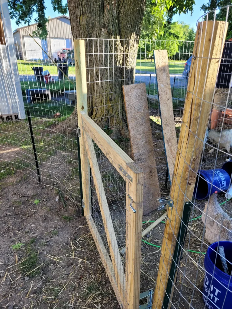 image of gate and fence line around goat pen