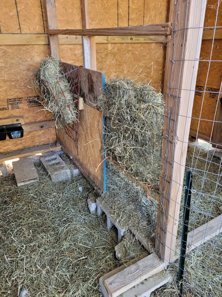 Inside view of the stall separator, half of it is an OSB sheet the other half is welded wire fencing. There is hay in a hay feeder hanging from the OSB and hay in between the welded wire fence