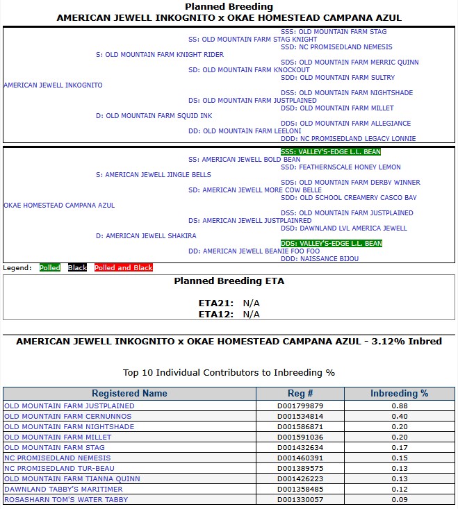 Planned Breeding of Okae Homestead Campana Azul and American Jewell Inkognito Pedigree of Okae Homestead Campana Azul Dam: American Jewell Shakira, Sire: American Jewell Jingle Bells, Pedigree of American Jewell Inkognito. Dam: Old Mountain Farm Squid Ink, Sire: Old Mountain Farm Knight Rider

Inbred 3.12% Top 3 contributors Old Mountain Farm JustPlainEd, Old Mountain Farm Cernunnos, Old Mountain Farm Nightshade