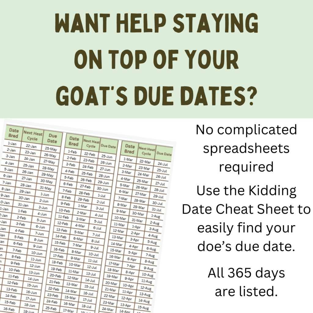 key points for freebie want help staying on top of your due dates? no complicated spreadsheets required, use the kidding date cheat sheet to find your doe's due date, all 365 days listed